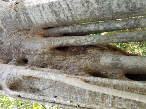 20180619_134134.jpg