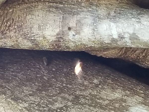 20180619_134142.jpg