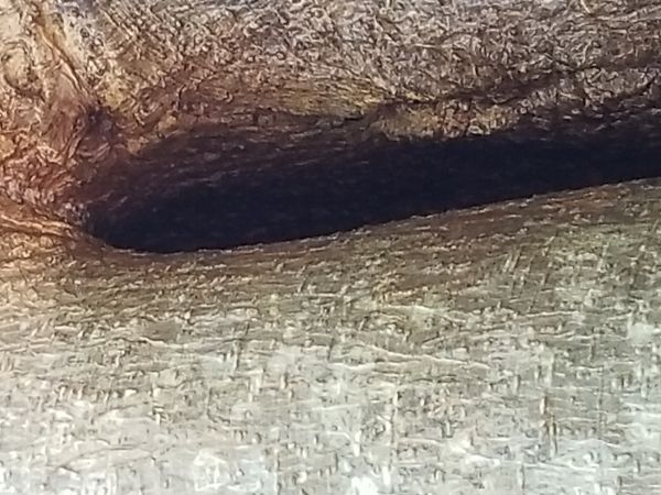 20180619_134206.jpg