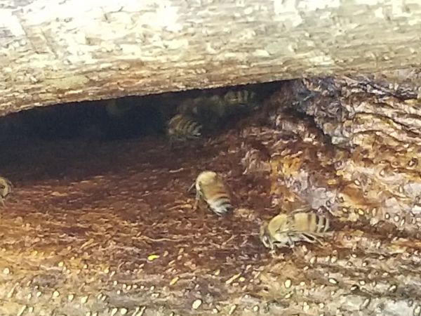 20180619_134210.jpg