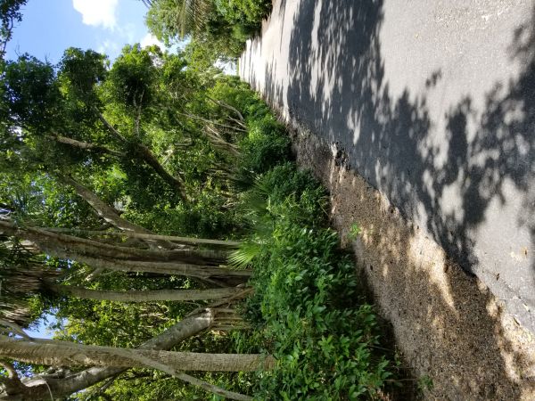 20180619_135222.jpg