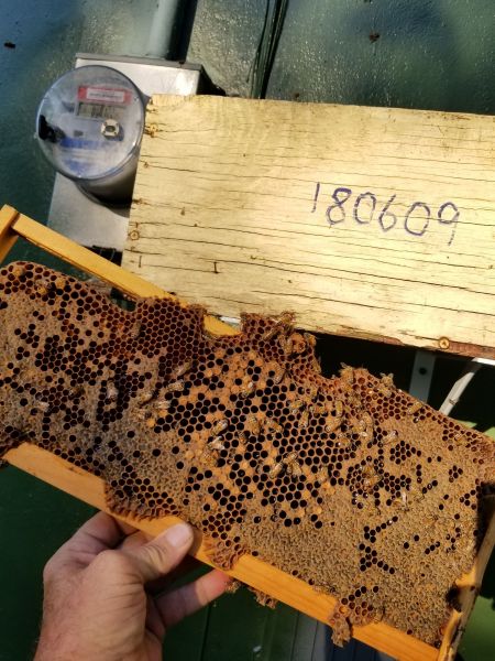 20180619_191052.jpg