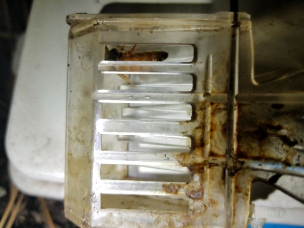 20180620_204505.jpg