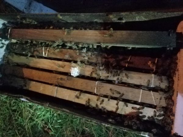 20180620_204936.jpg