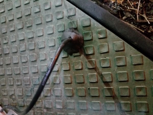 20180620_205924.jpg