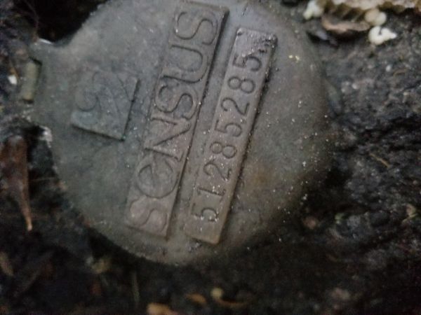 20180621_200200.jpg