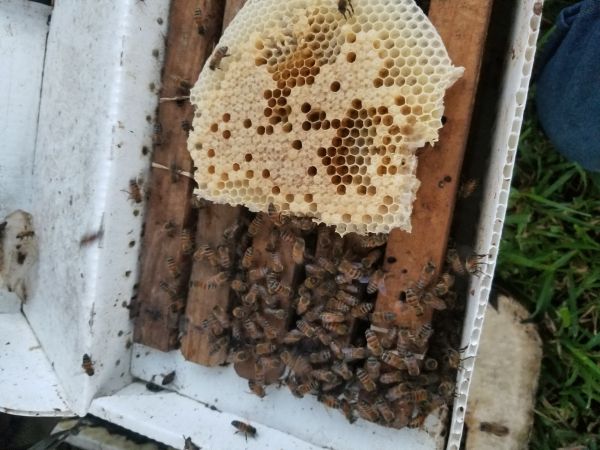 20180621_200920.jpg