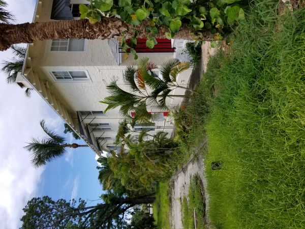 20180625_155115.jpg