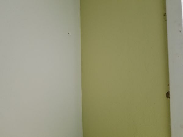 20180626_181913.jpg
