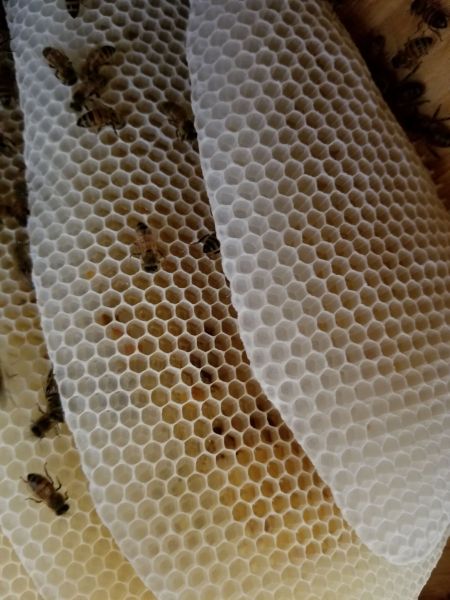 20180628_073855~0.jpg