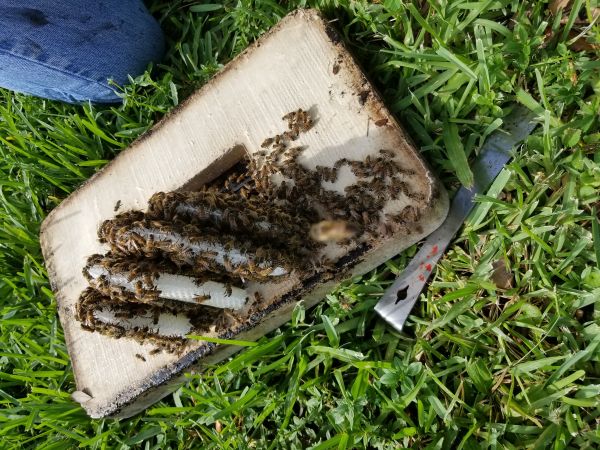 20180628_172634.jpg