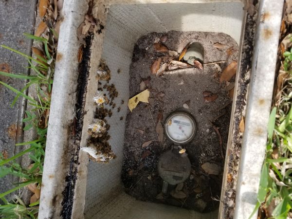 20180628_172636.jpg