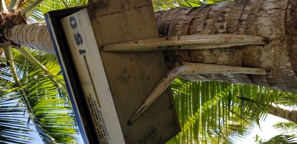 20180702_182024.jpg