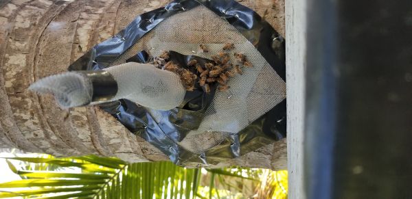 20180702_182046.jpg