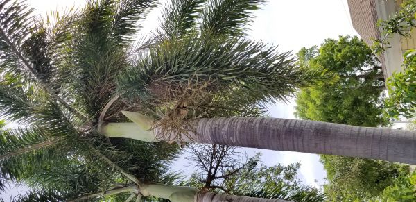 20180706_151318.jpg