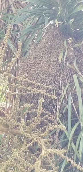 20180706_151325~0.jpg