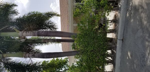 20180706_151428.jpg