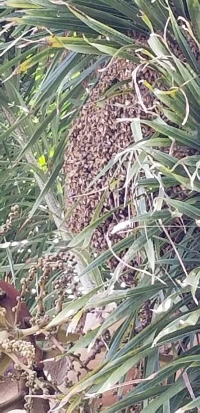 20180706_151806~0.jpg