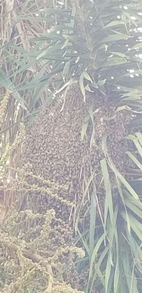 20180706_151843~0.jpg