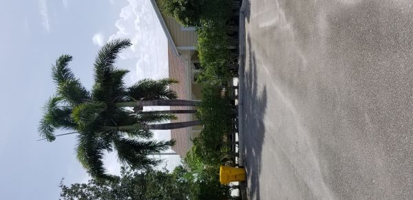 20180706_152147.jpg