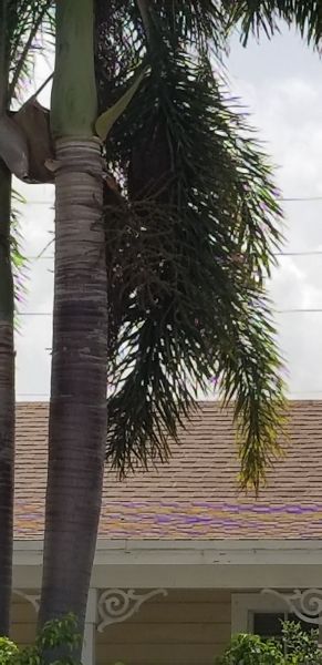 20180706_152150~0.jpg