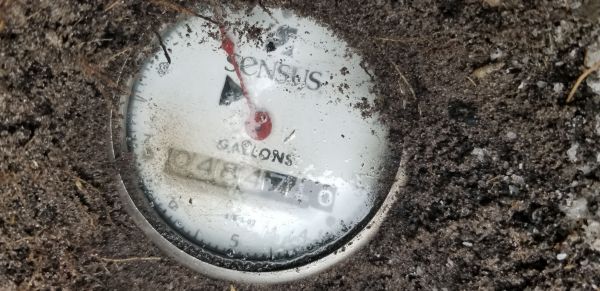 20180708_184733.jpg