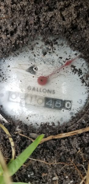 20180708_184821.jpg