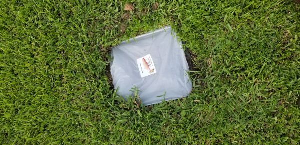 20180708_185144.jpg