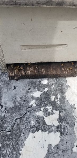20180710_110239~0.jpg