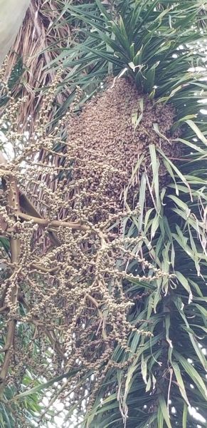 20180712_080646~0.jpg