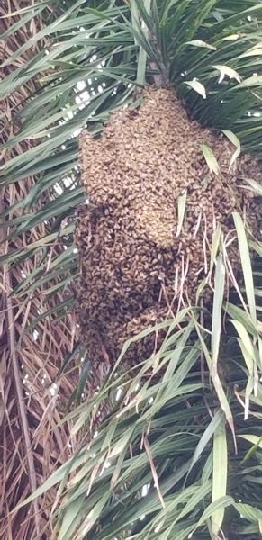 20180712_081635~0.jpg
