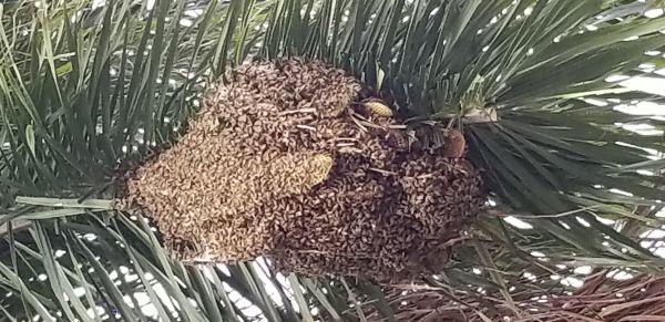 20180712_083443.jpg