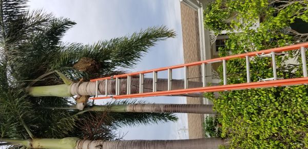20180712_083451.jpg
