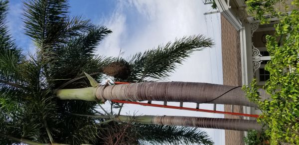 20180712_091847.jpg