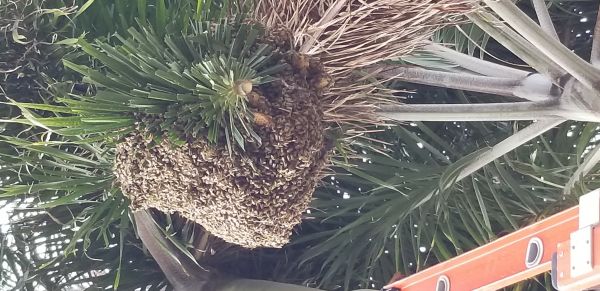 20180712_091921.jpg