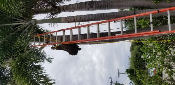 20180712_104521.jpg