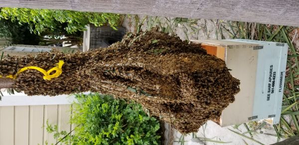 20180712_105848.jpg