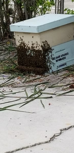 20180712_120634~0.jpg