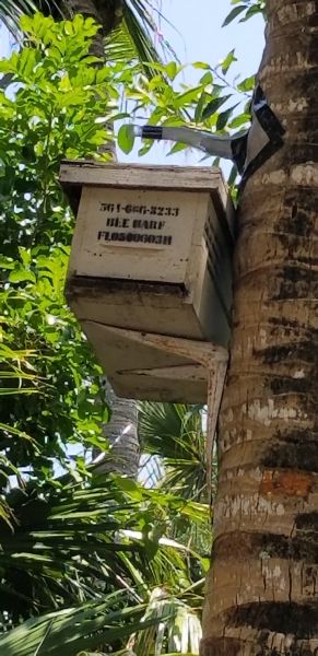 20180714_145557~0.jpg