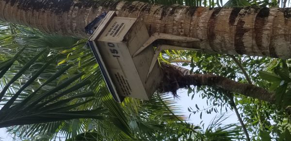 20180714_145610.jpg