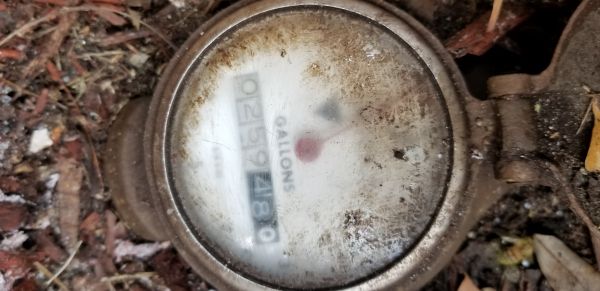20180717_155036.jpg