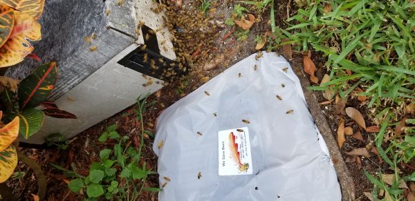 20180717_155338.jpg