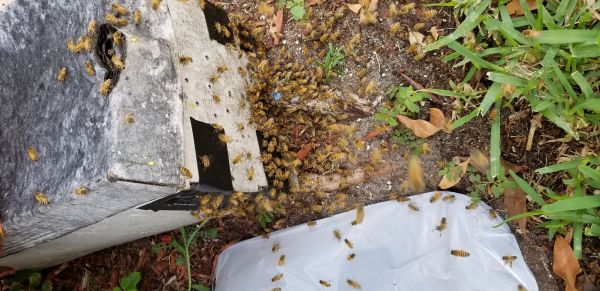 20180717_155342.jpg