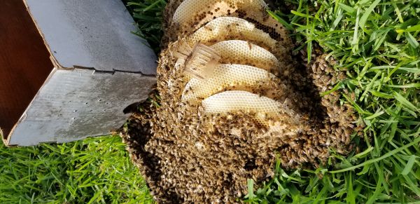 20180717_165217.jpg