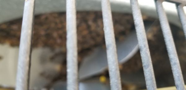 20180719_104119.jpg