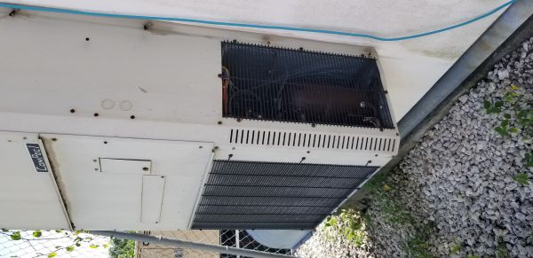 20180719_104142.jpg