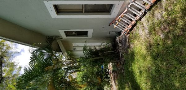 20180719_140420.jpg
