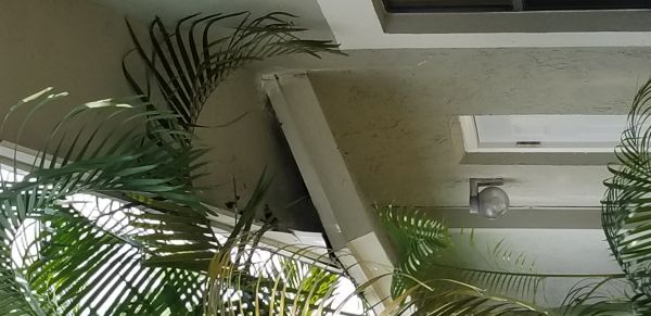 20180719_140425.jpg