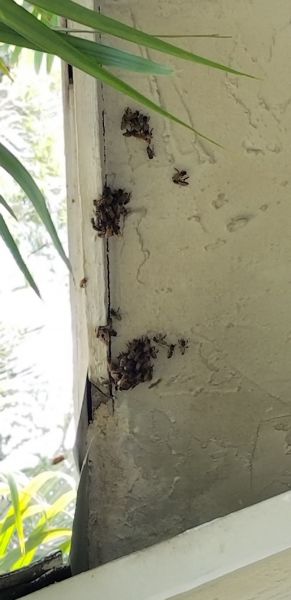 20180719_140443~0.jpg