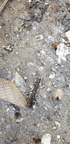 20180719_140527~0.jpg